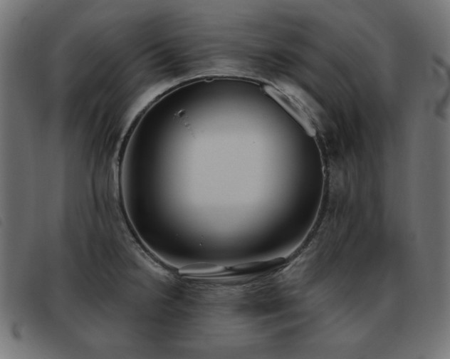 X0000093481238200710121439