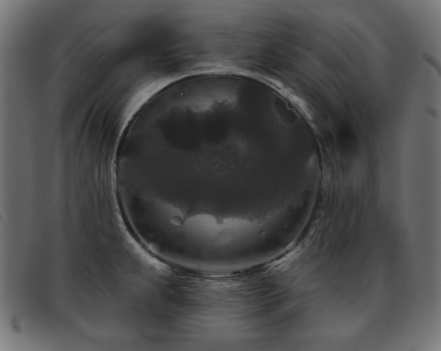 X0000093481239200710121439