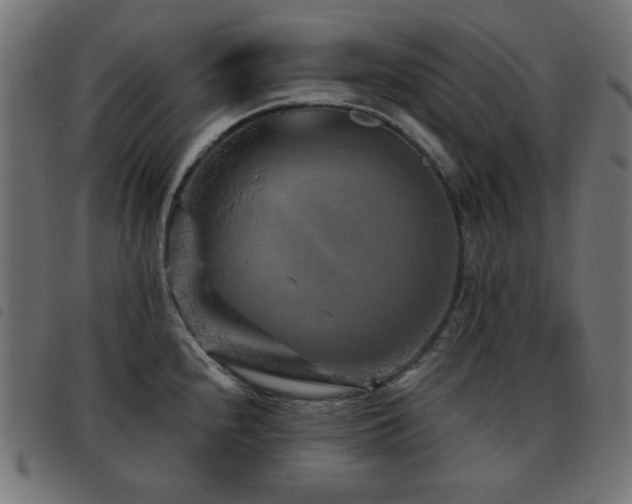 X0000093481240200710121439