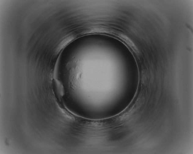 X0000093481241200710121439