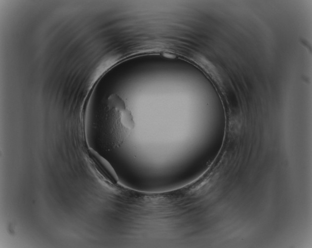 X0000093481242200710121439