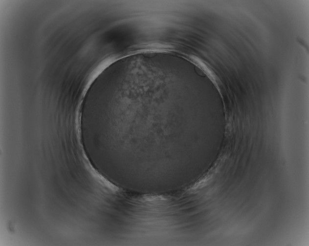 X0000093481243200710121439