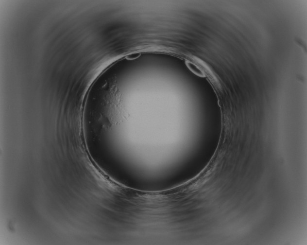 X0000093481244200710121439