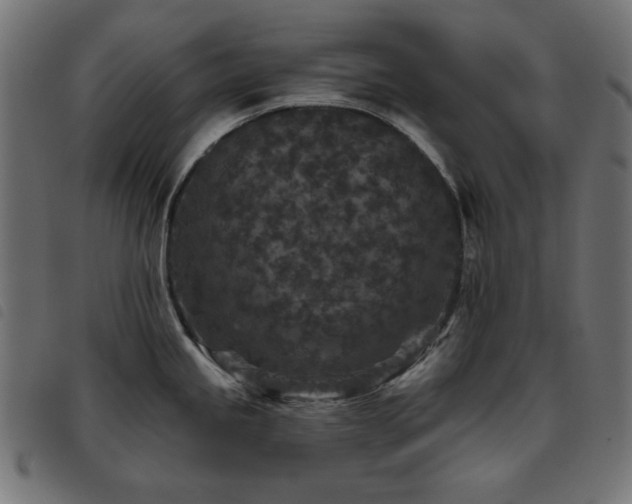 X0000093481245200710121439
