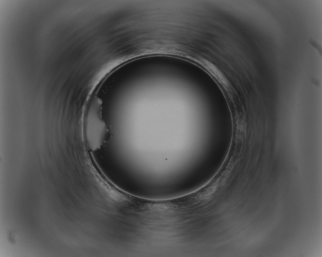 X0000093481246200710121439