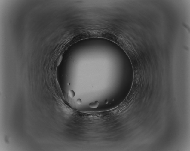 X0000093481249200710121438