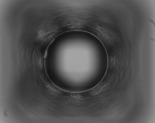 X0000093481250200710121438