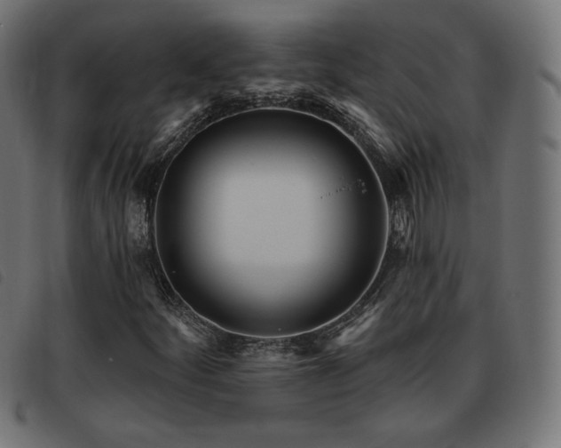 X0000093481252200710121438