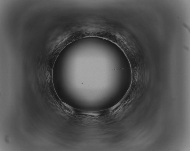 X0000093481253200710121438