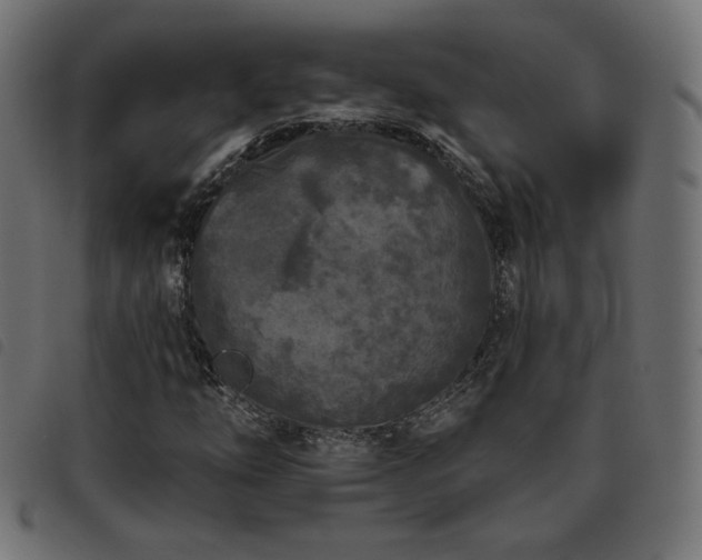 X0000093481254200710121438
