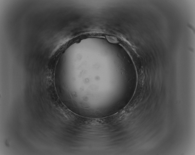 X0000093481255200710121438