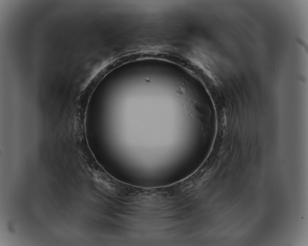X0000093481256200710121438