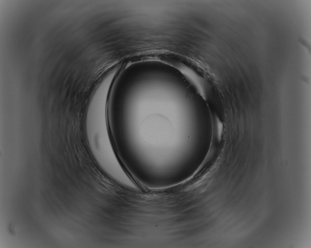 X0000093481257200710121438