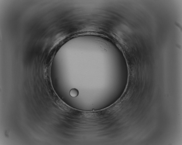 X0000093481258200710121438
