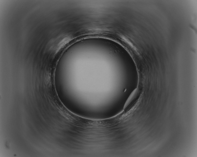 X0000093481259200710121438