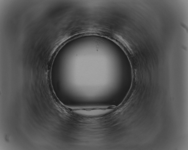 X0000093481260200710121438