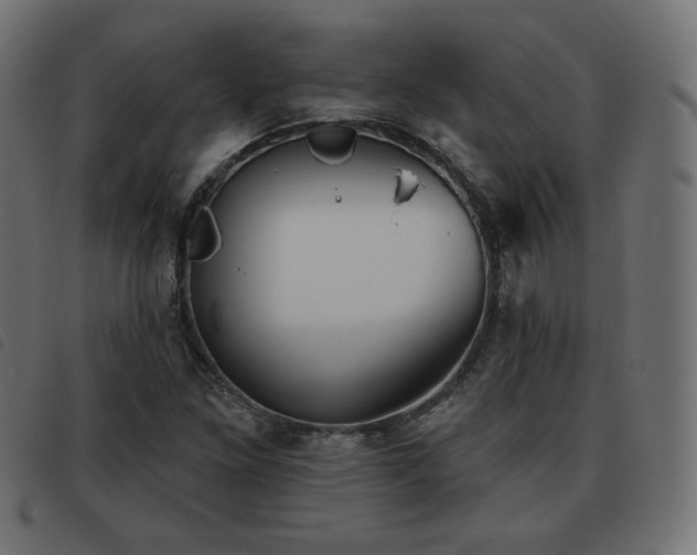X0000093481261200710121438