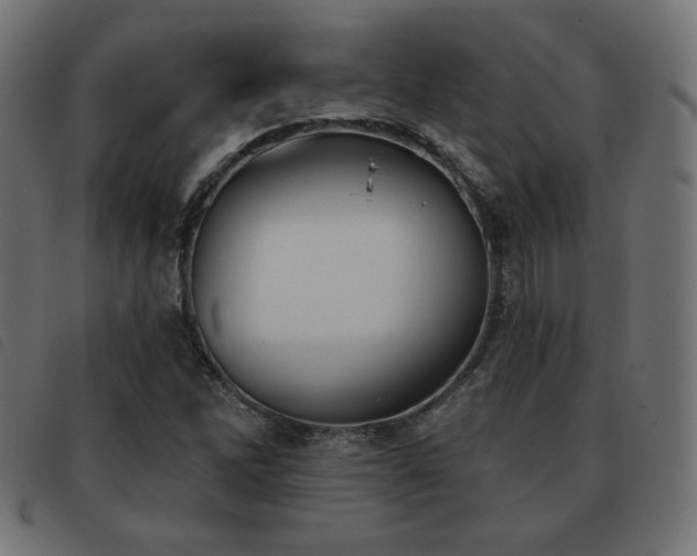 X0000093481262200710121438