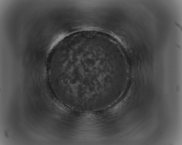 X0000093481263200710121438