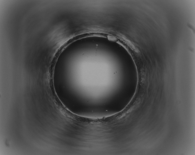 X0000093481264200710121438