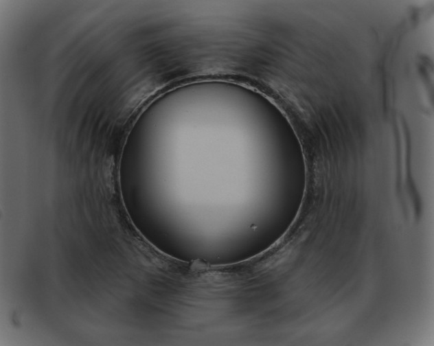X0000093481265200710121438