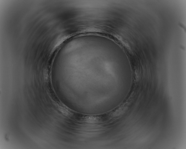 X0000093481266200710121438
