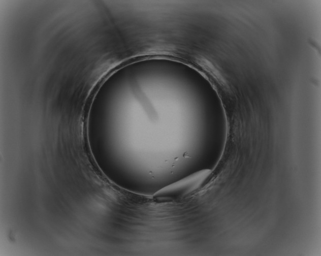 X0000093481268200710121438