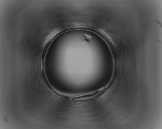 X0000093481269200710121438