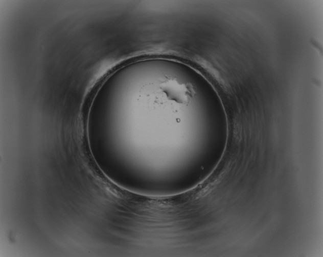 X0000093481270200710121438