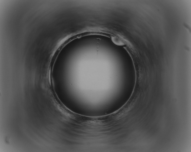 X0000093481272200710121438