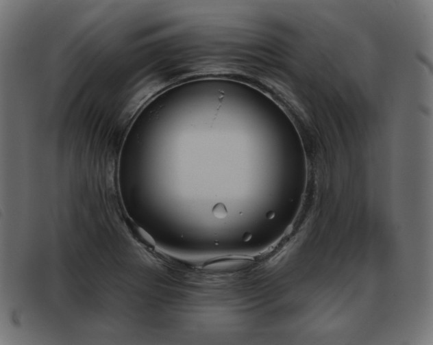 X0000093481273200710121438