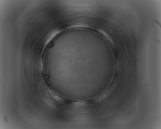 X0000093481274200710121438