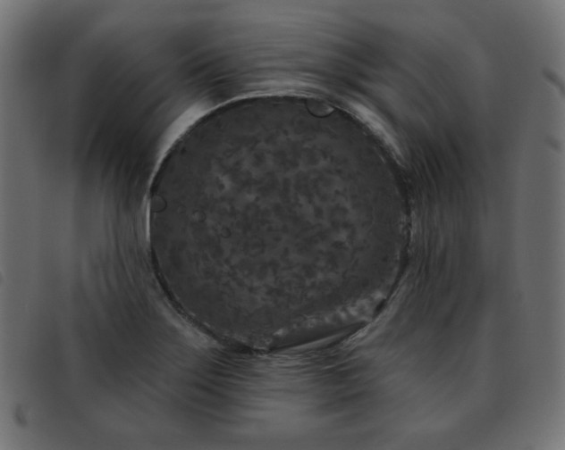 X0000093481275200710121438