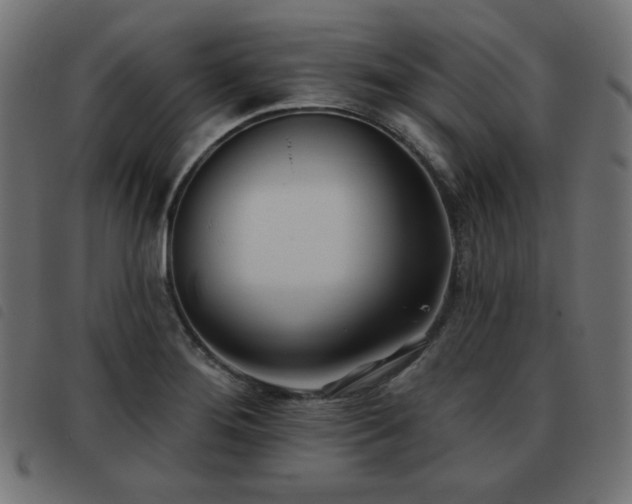 X0000093481276200710121438