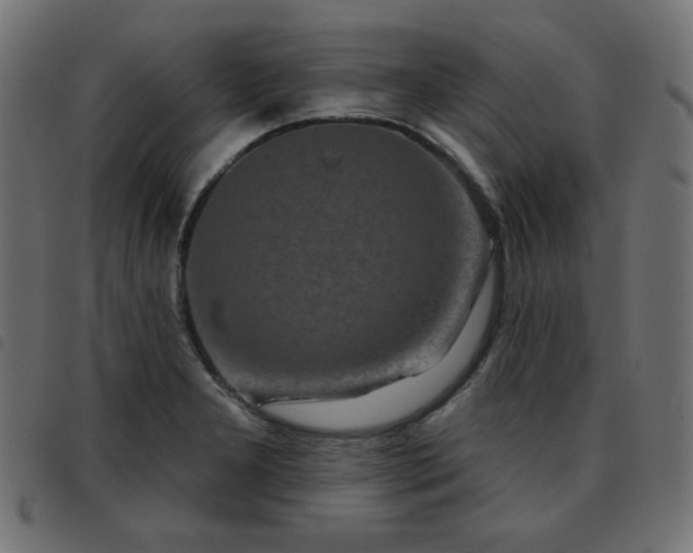 X0000093481277200710121438