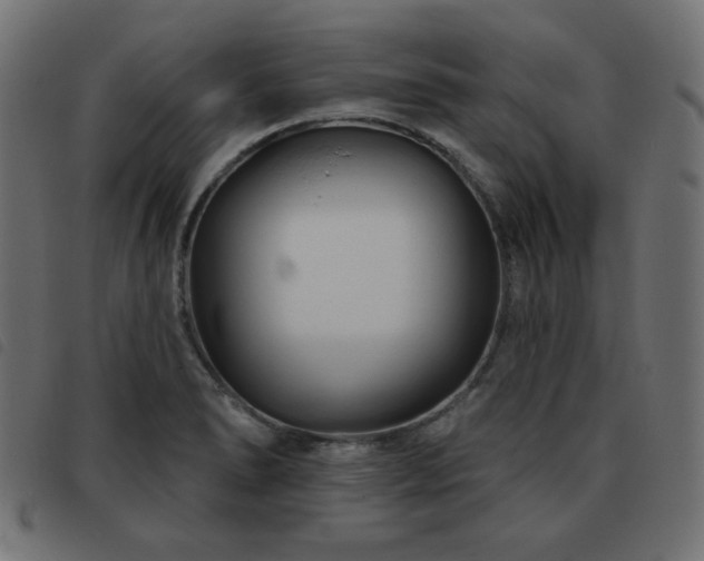 X0000093481278200710121438