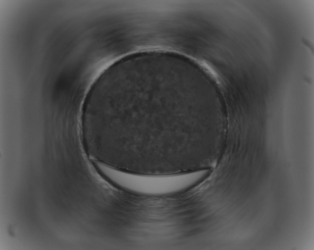 X0000093481279200710121438