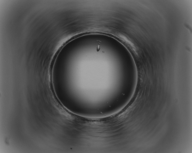 X0000093481280200710121438