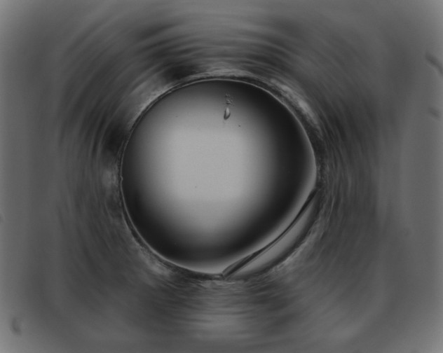 X0000093481281200710121438