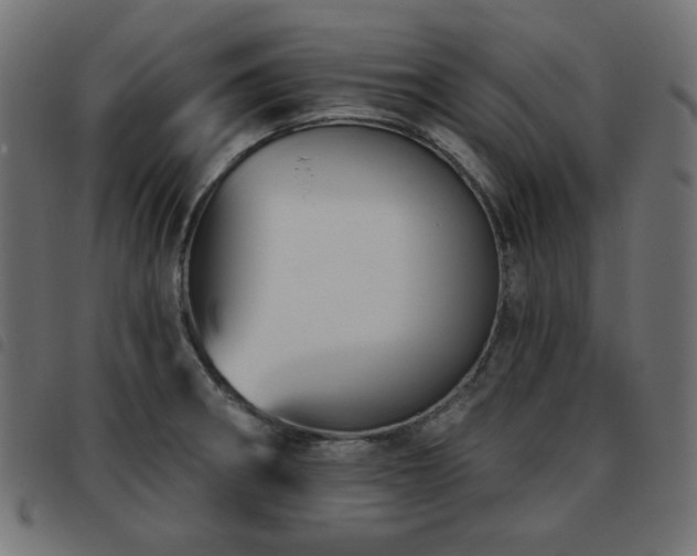 X0000093481282200710121438