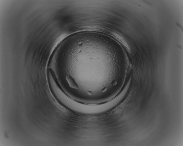 X0000093481283200710121438