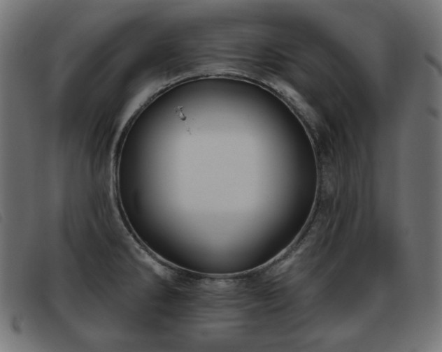 X0000093481286200710121438
