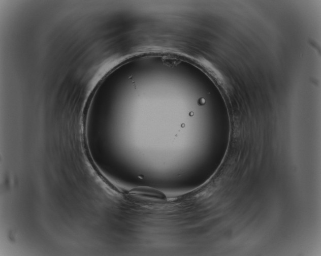 X0000093481287200710121438