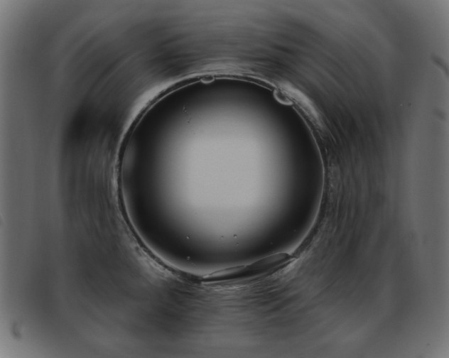 X0000093481288200710121438