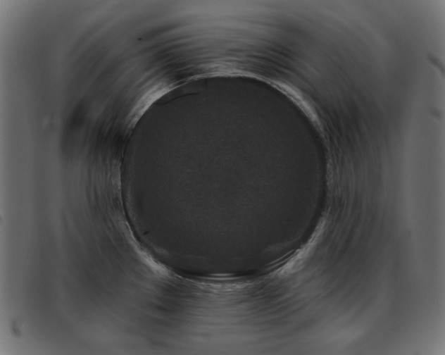 X0000093481289200710121438