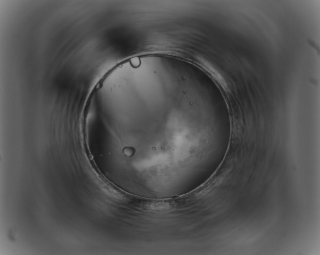 X0000093481291200710121438
