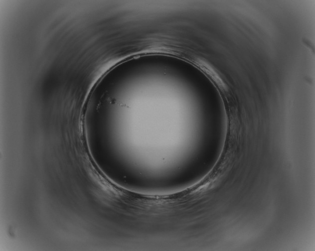X0000093481292200710121438