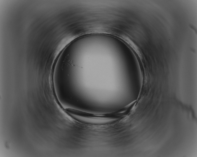 X0000093481293200710121438