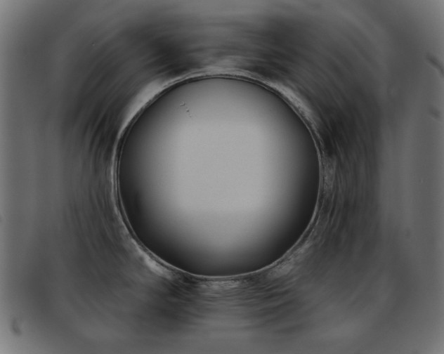 X0000093481294200710121438
