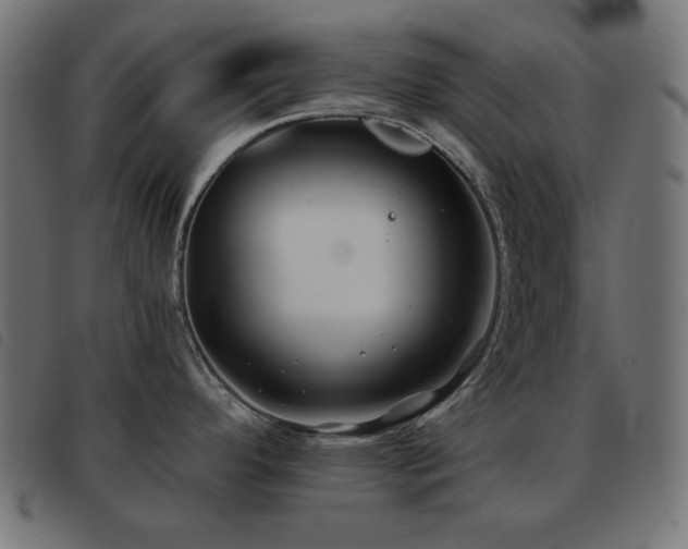 X0000093481296200710121438